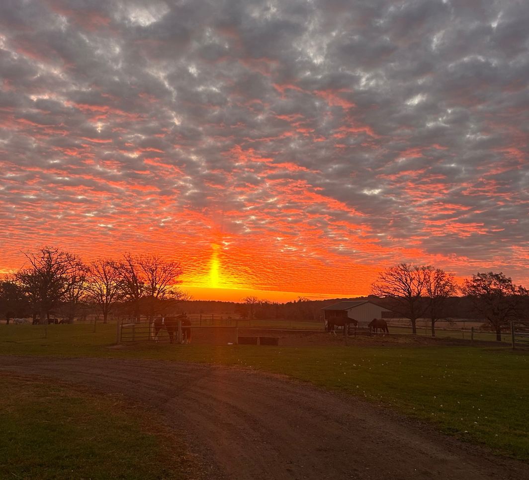A blazing orange sunrise under rippled clouds over the pasture, with horses along the fence