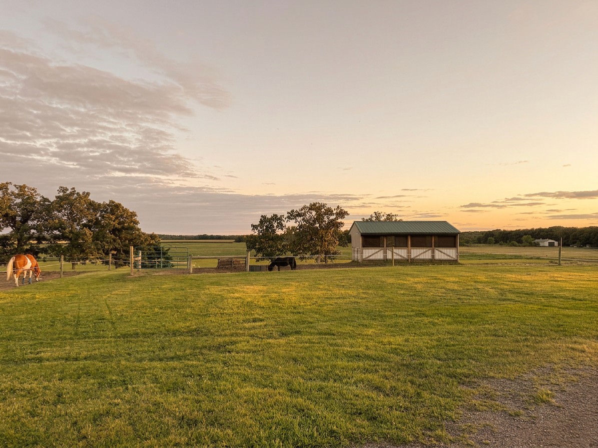 An open green field with the farm's outbuildings in the distance